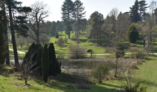 Bedgebury Forest Walks, Kent