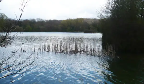 Chilham Walks, Kent