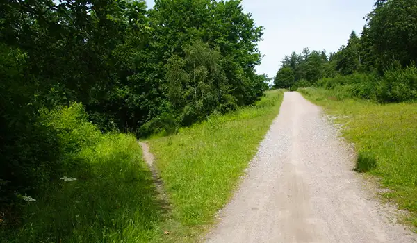 Crab and Winkle Way Walks, Kent