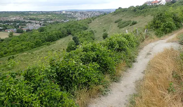 Darland Banks Walks, Kent