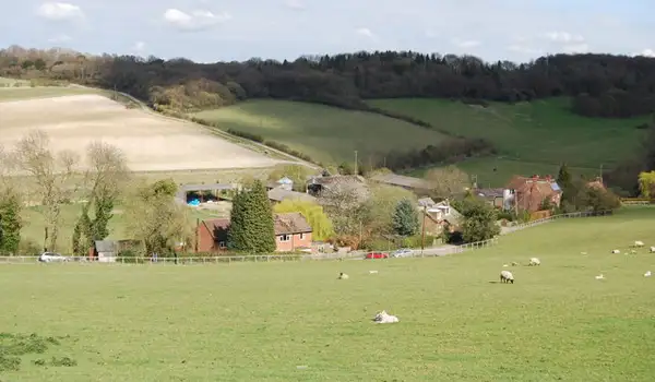 Denge Wood Walks, Kent