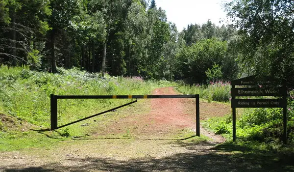 Elhampark Wood Walks, Kent