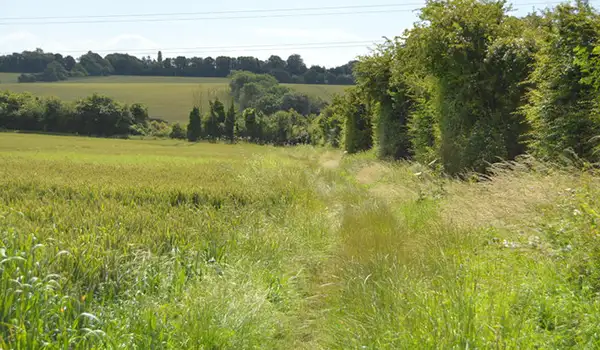 Eythorne Walks, Kent