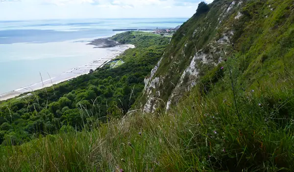 Folkestone Warren Walks, Kent