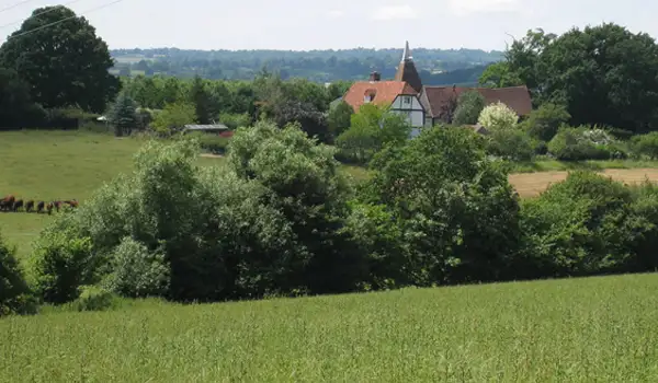 Goudhurst walk, Kent