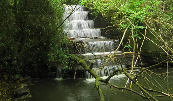 Horsmonden Walks, Kent
