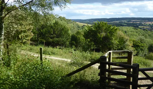 Kemsing Walks, Kent