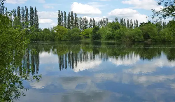 Leybourne Lakes Walks, Kent