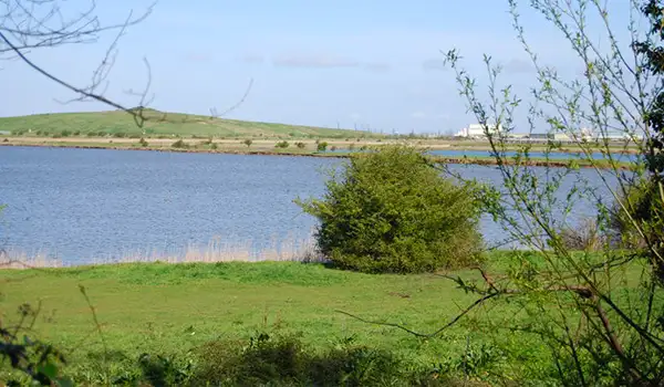 Milton Creek Walks, Kent