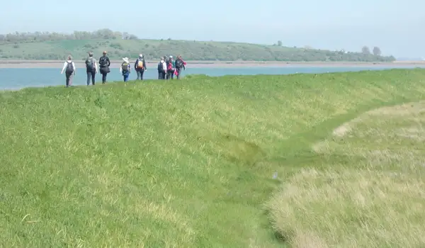 Oare Marshes Walks, Kent