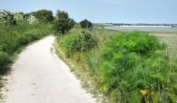 Pegwell Bay Walks, Kent