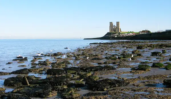 Reculver Park Walks, Kent