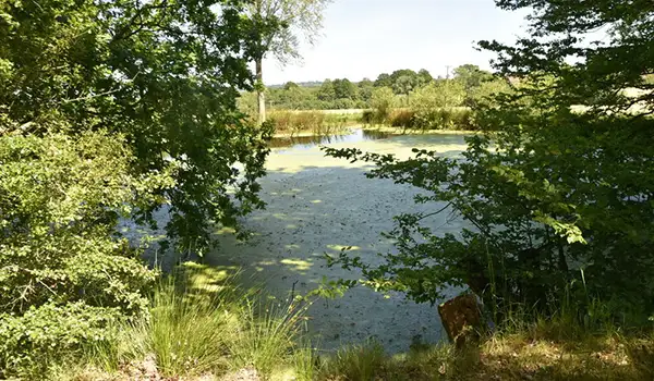 Rolvenden Walks, Kent
