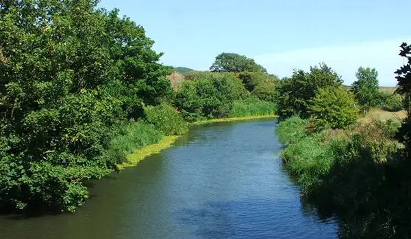 Seabrook Walks, Kent