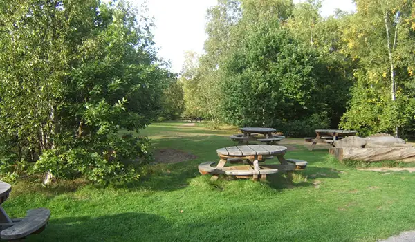 Shorne Woods Country Park Walks, Kent