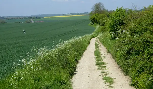 Stalisfield Green Walks, Kent