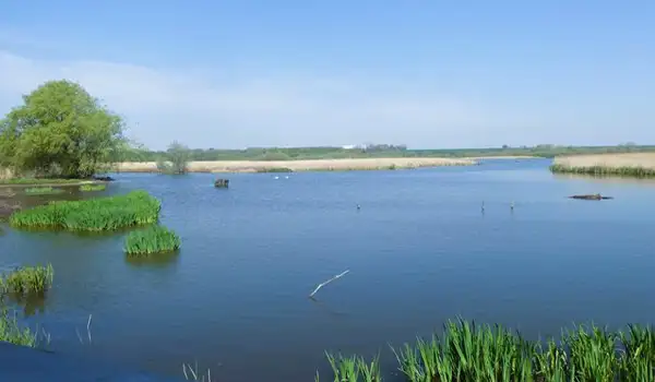 Stodmarsh Nature Reserve Walks, Kent