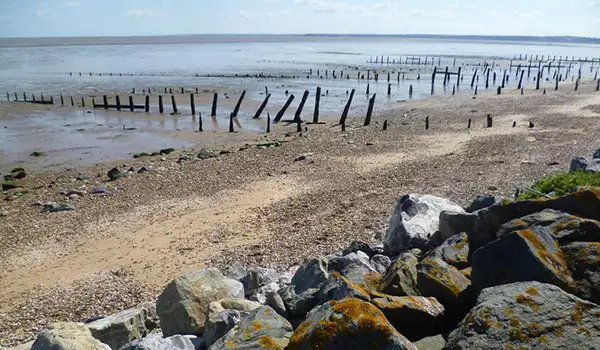 Swale Nature Reserve Walks, Kent