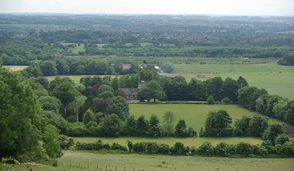 White Horse Wood Walks, Kent