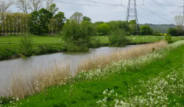 Wittersham Walks, Kent