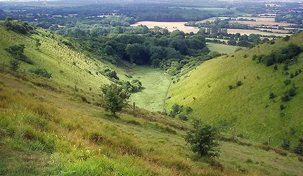 Wye Downs Walks, Kent