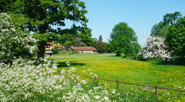 Ardington Walks, Oxfordshire