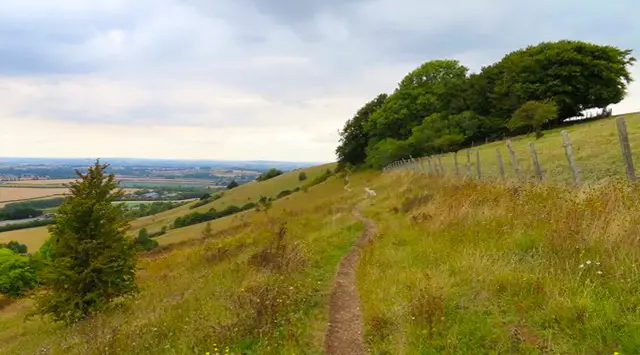 Aston Rowant Walks, Oxfordshire