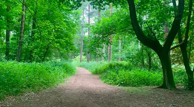 Badbury Hill Walks, Oxfordshire