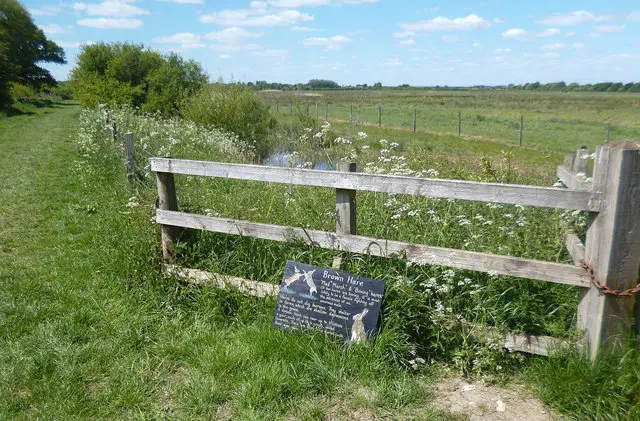 Beckley Walks, Oxfordshire
