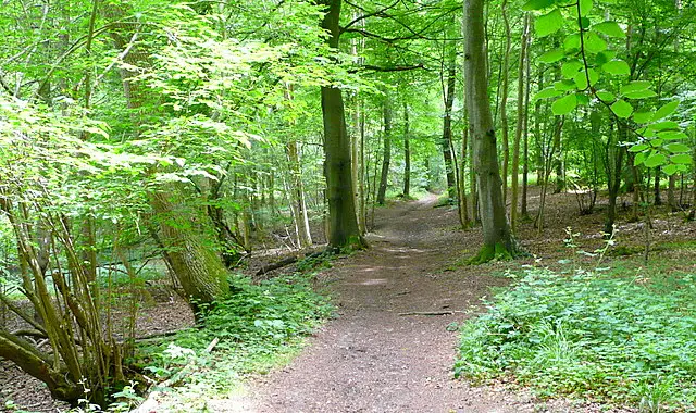 Binfield Heath Walks, Oxfordshire