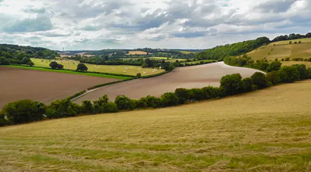 Bledlow Ridge Walks, Oxfordshire