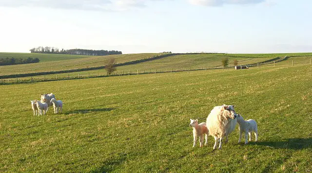 Blewbury Walks, Oxfordshire