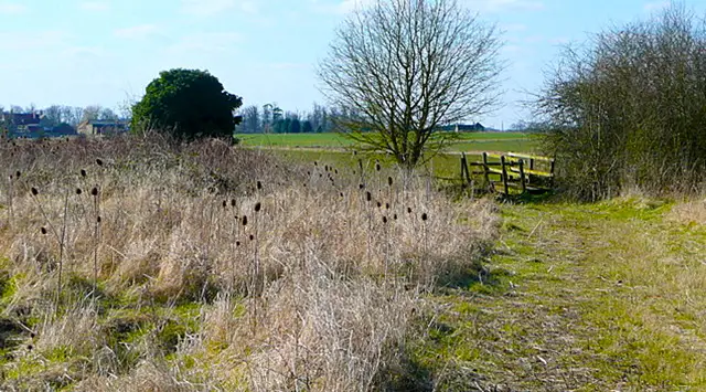 Chalgrove walk, Oxfordshire