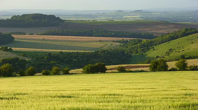 Compton Walks, Oxfordshire