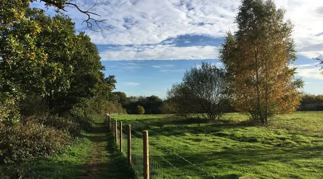 Cothill Walks, Oxfordshire