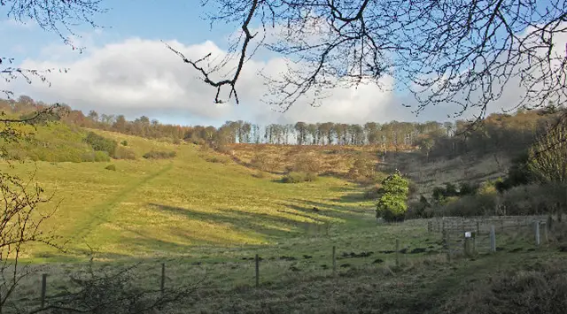 Cowleaze Wood Walks, Oxfordshire