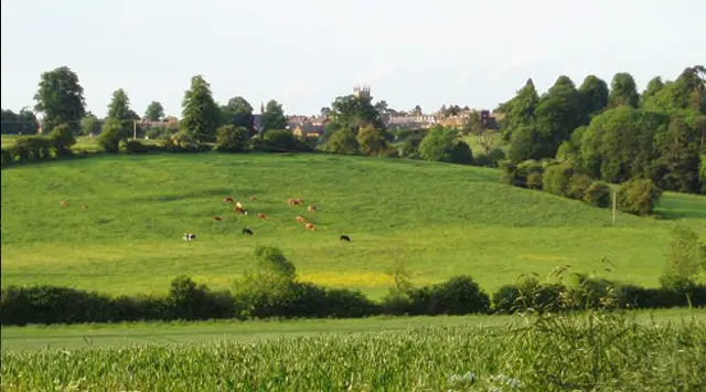 Deddington Walks, Oxfordshire