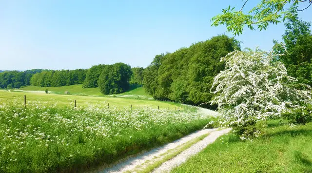 East Hendred Down Walks, Oxfordshire