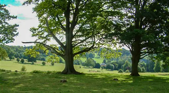 Ewelme Walks, Oxfordshire