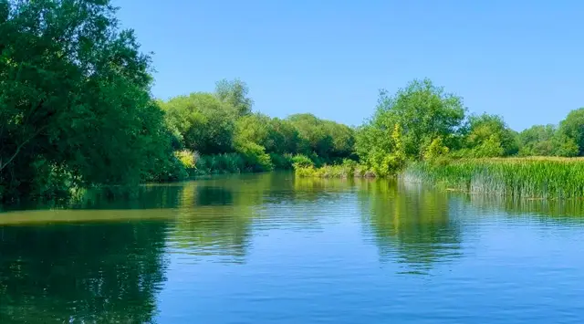 Farmoor Reservoir Walk, Oxfordshire