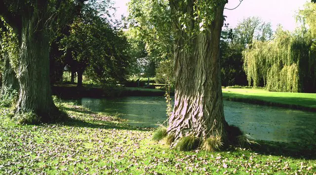 Filkins Walk, Oxfordshire