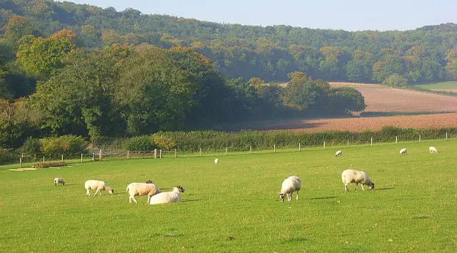 Fingest Walks, Oxfordshire