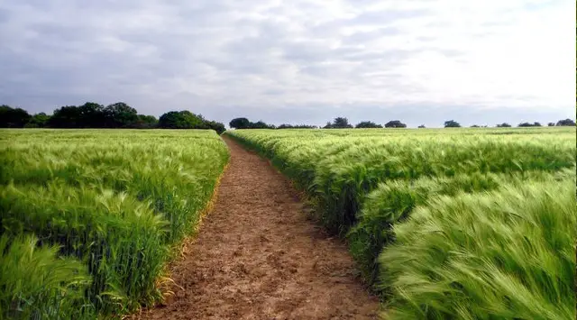 Finstock Walks, Oxfordshire