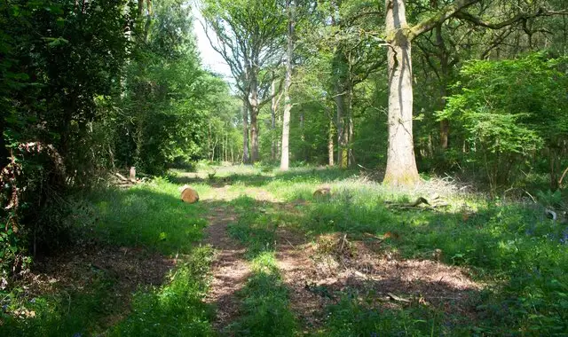 Milton-under-Wychwood Walks, Oxfordshire