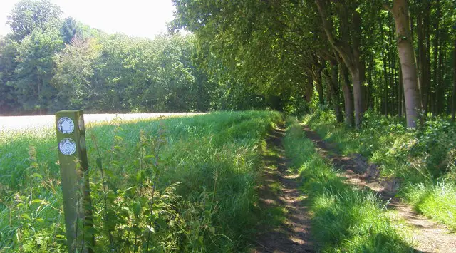 Glympton Walks, Oxfordshire