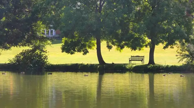 Goring Walks, Oxfordshire