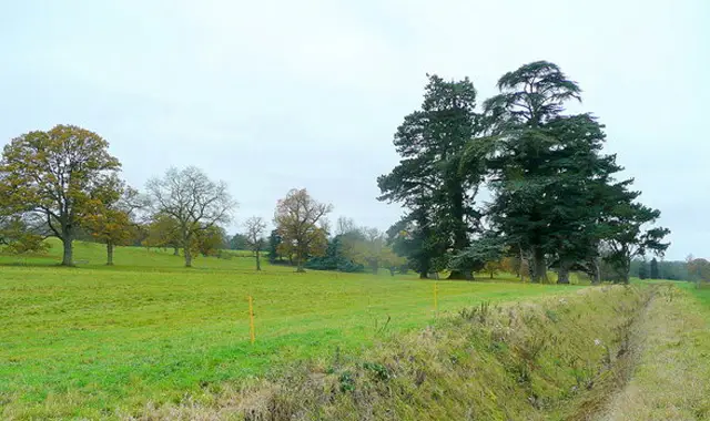 Oxfordshire walks - Great Tew