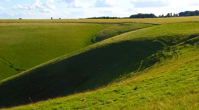 Lambourn Downs walk, Oxfordshire