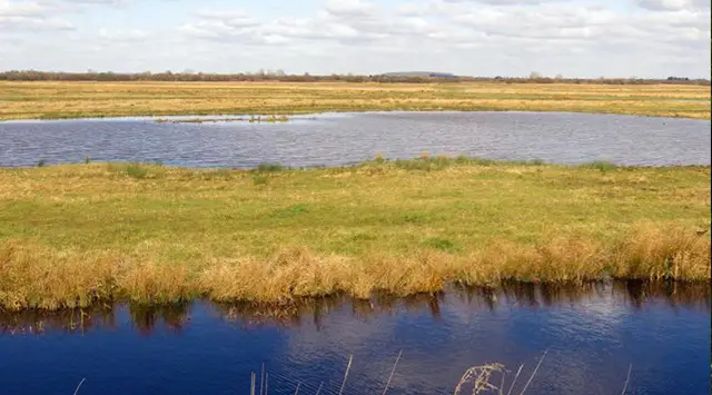 Otmoor Nature Reserve Walks, Oxfordshire
