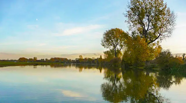 Port Meadow Walk, Oxfordshire